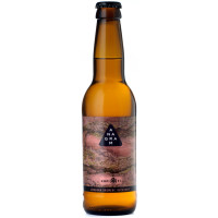 Anagram Brewing Sonic