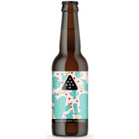 Anagram Brewing Cinco De Cuatro