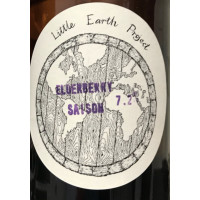 Little Earth Project Elderberry Saison