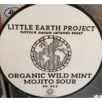 Little Earth Project Organic Wild Mint Mojito