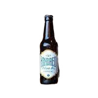 Kindred Brewing Wit