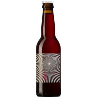 Funkyland Fermentationists Sour Elderberry