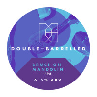 Double-Barrelled Brewery Bruce on Mandolin