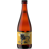 Anarkist Brewing Company (Theodor Schiøtz) Motueka Lager