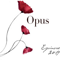 Ammonite Opus Equinox 2019