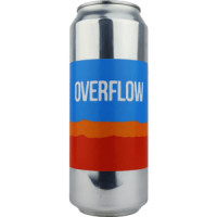 Sofia Electric Brewing Overflow