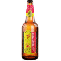 Arcyksiążęcy Browar Zamkowy Cieszyn Belgian Ale