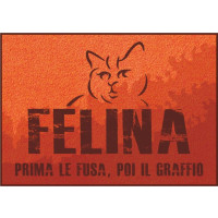 Birrificio Menaresta Felina