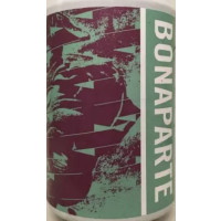 North Brewing Co Bonaparte