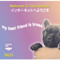 Pressure Drop Brewing Welcome To The Internet