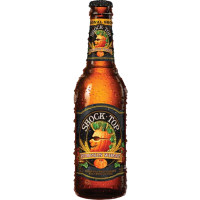 Shock Top Beers Pumpkin Wheat