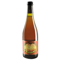 Panil Birra Artigianale - Birrificio Torrechiara Raphael