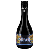 Birrificio del Ducato Paradox