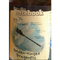 From The Notebook Golden Ringed Dragonfly