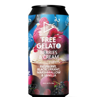 Funky Fluid Free Gelato: Berries & Cream
