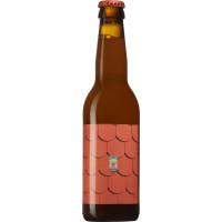 Flying Guru Brewery Please me