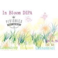 Pivionica Craft Brewery In Bloom