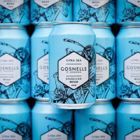 Gosnells Citra Sea Mead