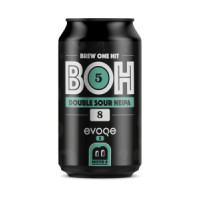 Mister B BOH 5 Double Sour NEIPA