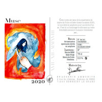 Ammonite Muse 2020