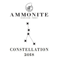 Ammonite Constellation 2018