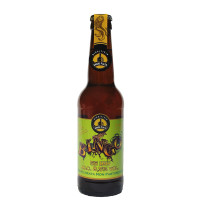 Birrificio Grado Plato Bingo