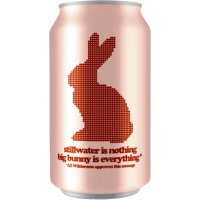 Stillwater Is Nothing Big Bunny Is Everything