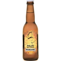 Bourganel Paléo