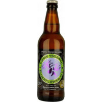 Bragdy Mŵs Piws (Purple Moose Brewery) Cwrw Ysgawen (Elderflower Ale)
