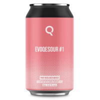 Evoqe Brewing Evoqesour #1