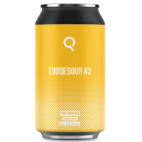 Evoqe Brewing Evoqesour #3