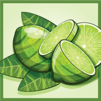 Nova Runda Fruit Expo: Berliner Weisse With Lime