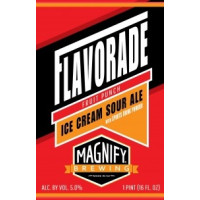 Magnify Brewing Company Flavorade Fruit Punch