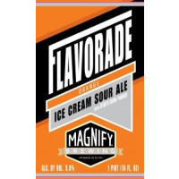 Magnify Brewing Company Flavorade Orange