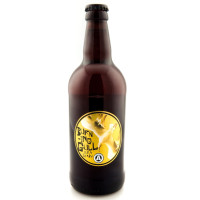 Ayr Brewing Company Burning Gull