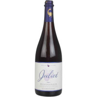 Goose Island Beer Company Juliet (2015)