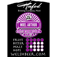 Hafod Brewing Co. Moel Arthur