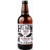 Hafod Brewing Co. Moldbreaker