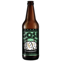 Casa Bruja Brewing Co. Gose Guanabana