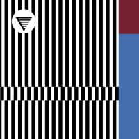 HOMES Brewery Throughline Blueberry