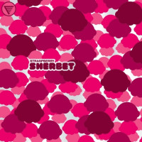 HOMES Brewery Straspberry Sherbet