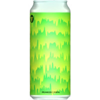 HOMES Brewery Peaked