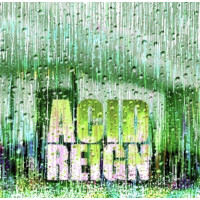 Lost Industry Brewing Acid Reign