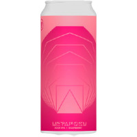 HOMES Brewery Metaform (Raspberry)