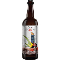 Jolly Pumpkin Artisan Ales Saison M