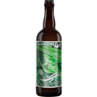 Jolly Pumpkin Artisan Ales Luciérnaga