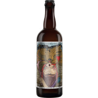 Jolly Pumpkin Artisan Ales Matame Ahorita