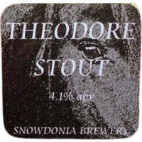 Snowdonia Parc Theodore Stout