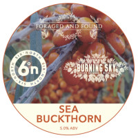 Six Degrees North (Six°North) ATC 4.4 Foraged and Found: Sea Buckthorn Saison