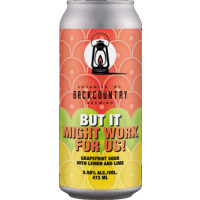 Backcountry Brewing But It Might Work For Us!